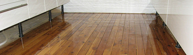 clean a hardwood floor