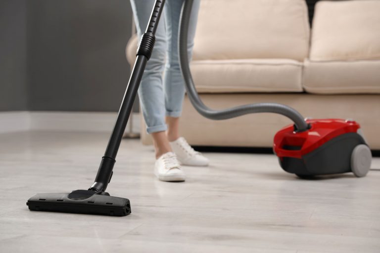 Best Vacuum Cleaner With No Beater Bar