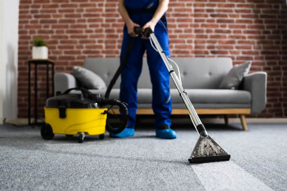 how-to-use-a-wet-vac-clean-the-carpet-easy-6-step-guide