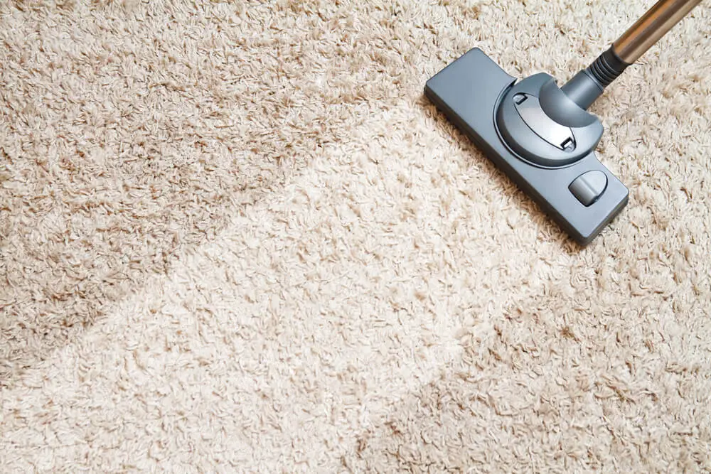 carpet-cleaning-upholstery-cleaning-services