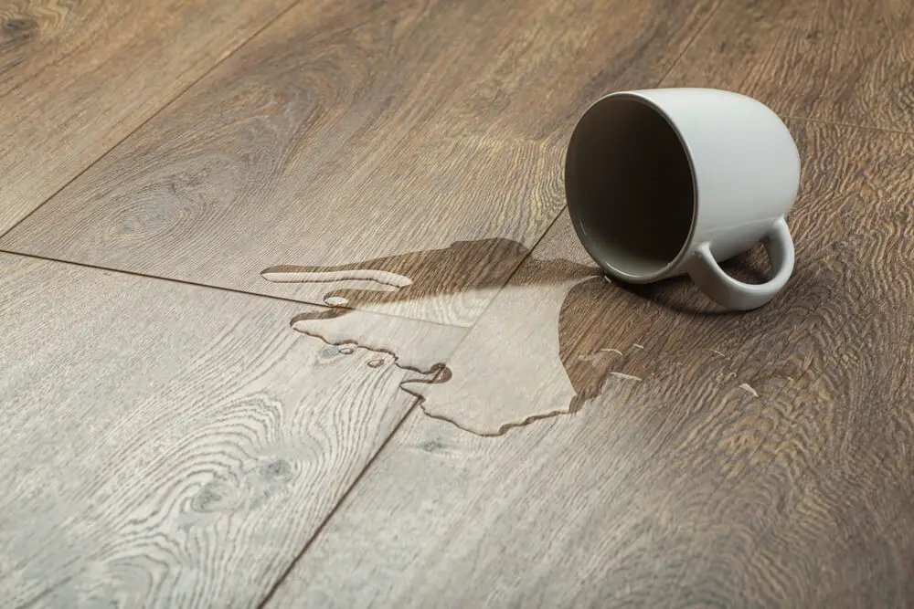 Water Marks from Hardwood Floors 