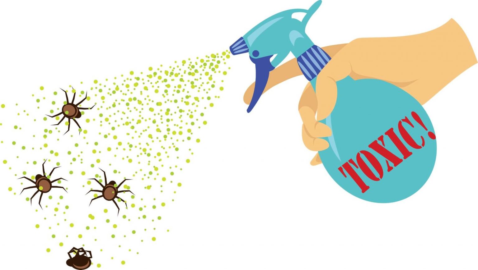 Does Vacuuming Kill Ants?