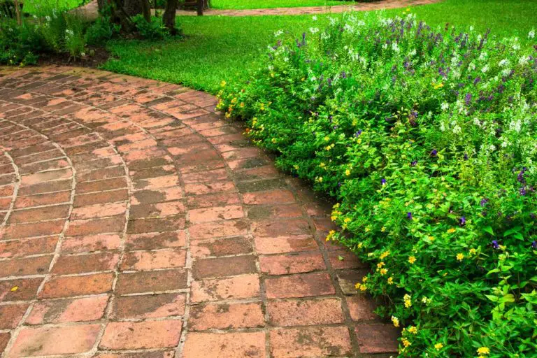 How to Clean a Brick Floor? [Simple Guide]