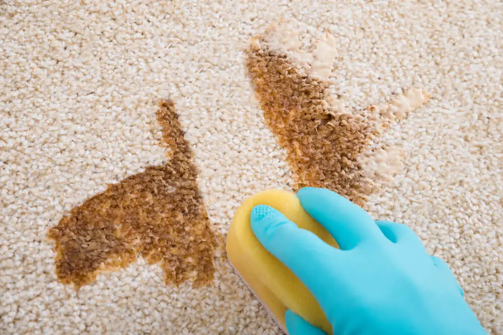 How to Clean a Wool Carpet Stain