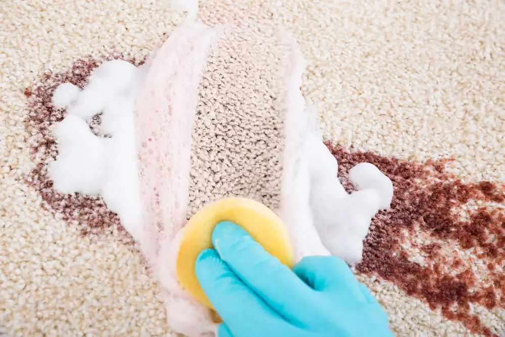 How to clean carpet stairs with hands