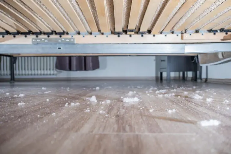 How To Vacuum Under Your Bed? [3 Easy Step Guide]