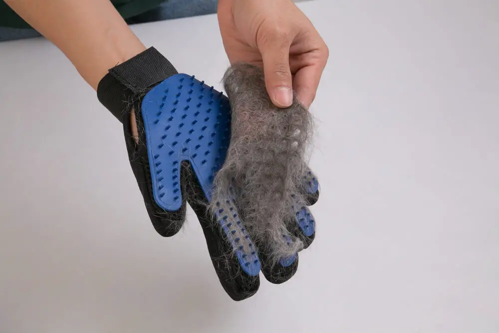 Dog rubber grooming glove