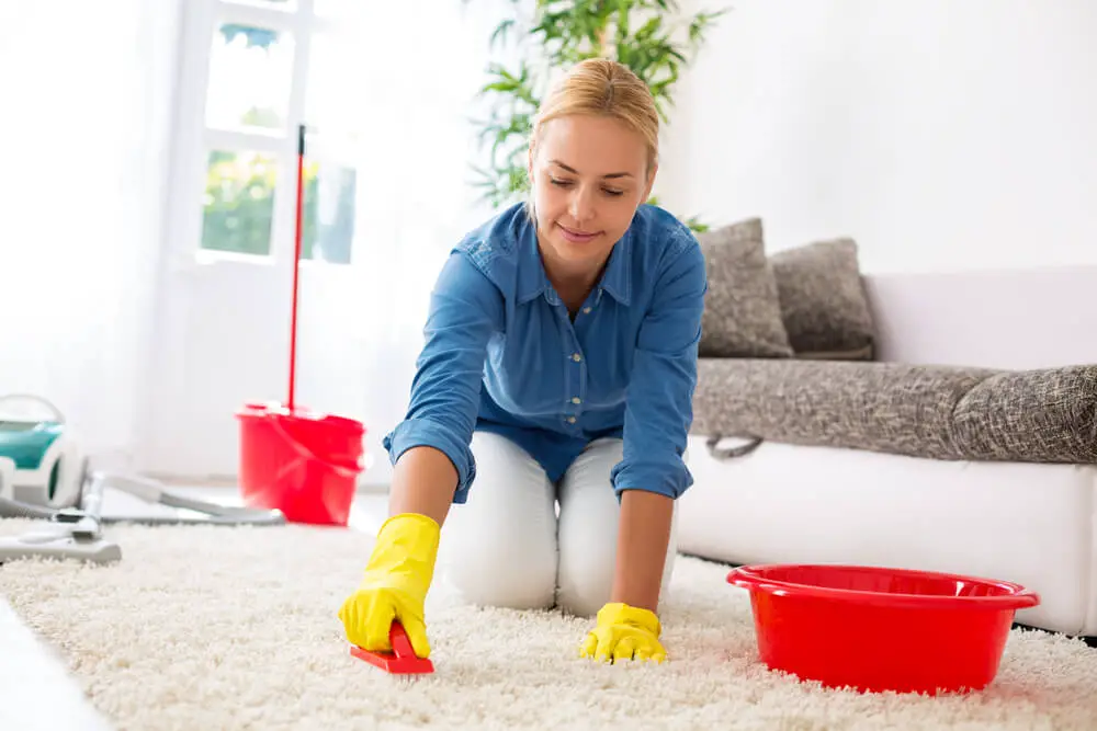 cleaning carpet with hands
