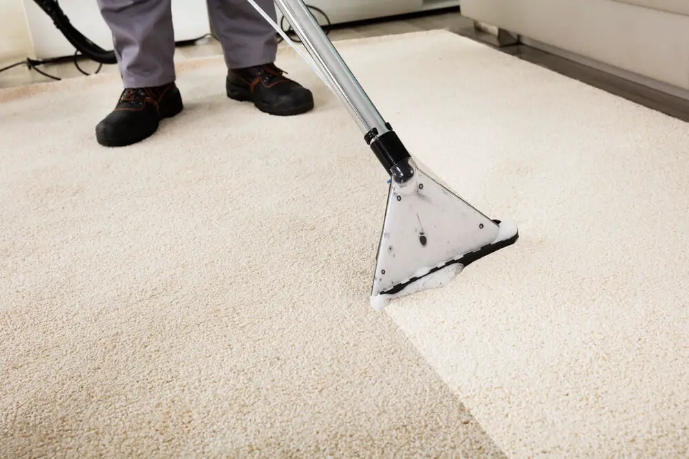 cleaning carpet with machine