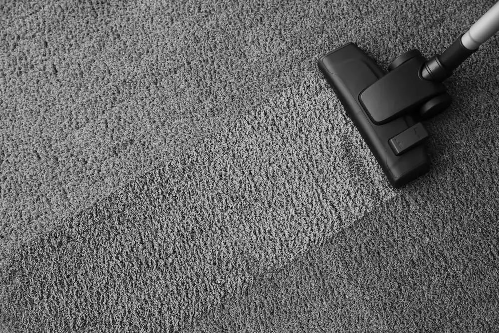 How Can I Clean My carpet Without a Steam Cleaner