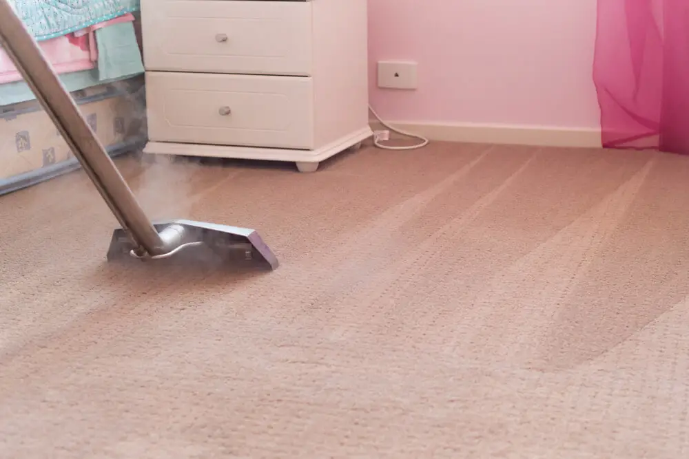 How To Remove Long Human Hair from The Carpet