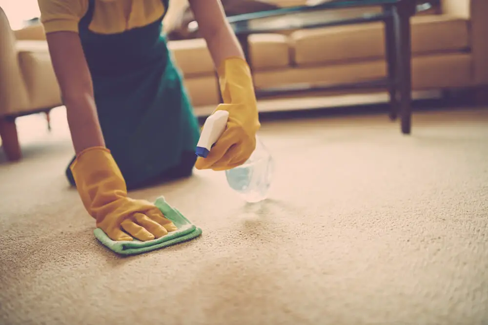 carpet hand cleaning
