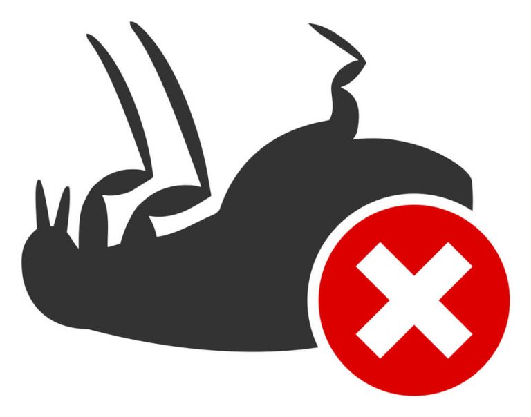 How Long Can Fleas Live In Carpet?