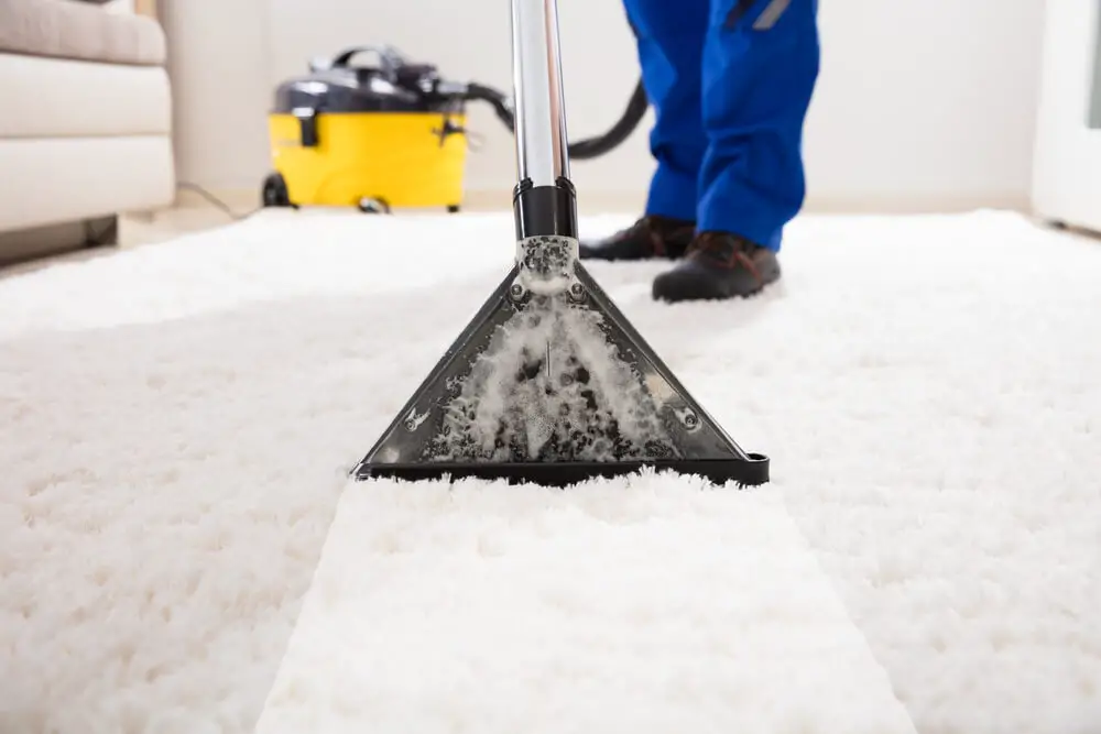 Cleaning Carpet With Vacuum Cleaner