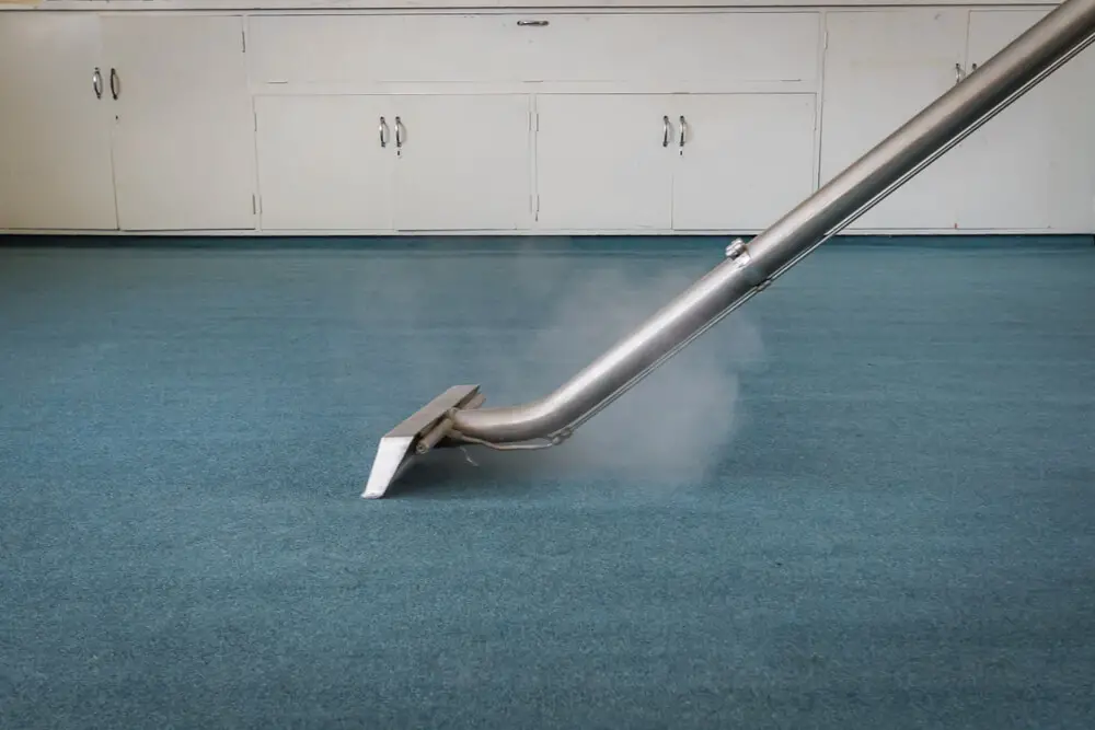 Difference Between Carpet Cleaner And Steam Cleaner