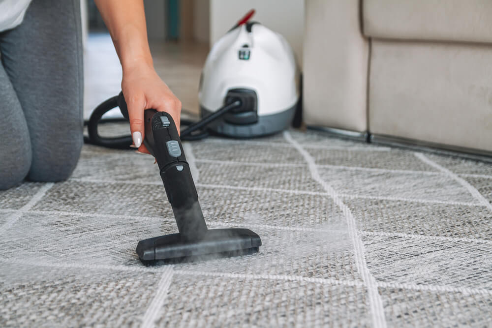 carpet with a steam cleaner