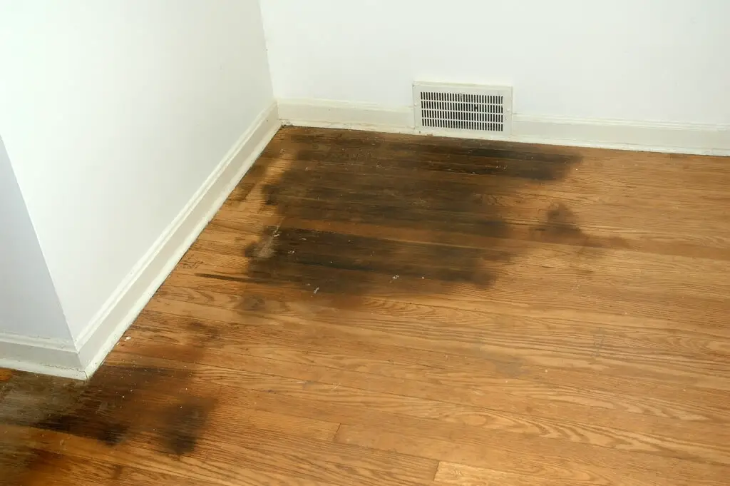 hardwood floors urine