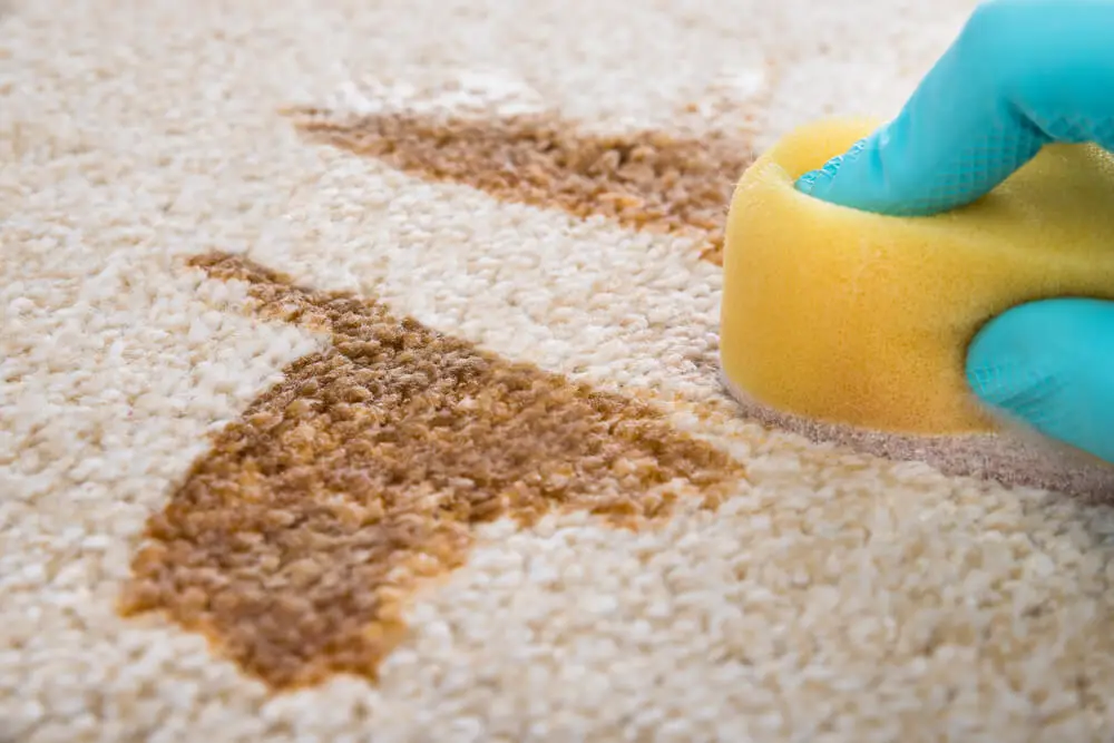 How to Clean Carpet on Stairs Without a Vacuum