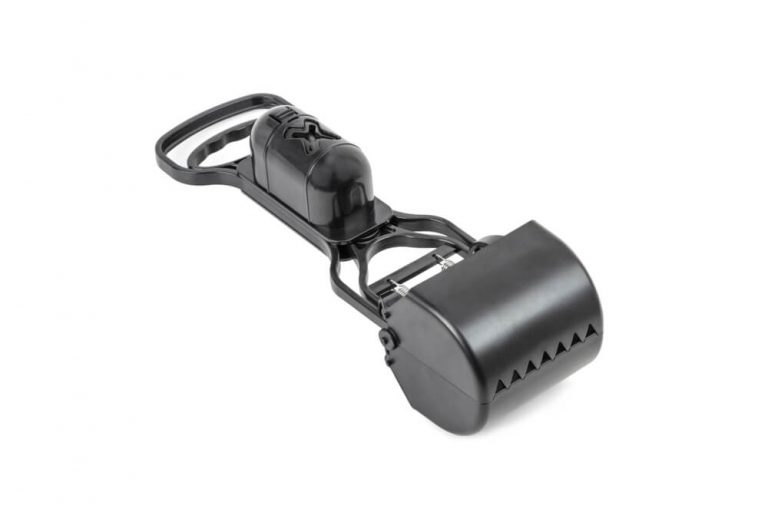 How To Get Dog Poop Out of The Car Seat?