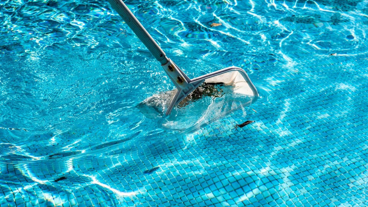 How To Get Dirt From Bottom Of Pool? [Working Methods]